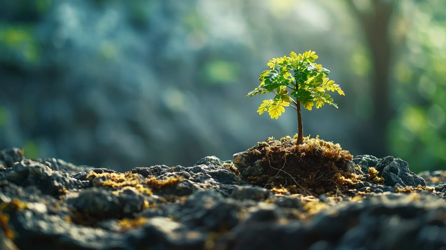 How to Passively Invest in a Roth IRA for Consistent Growth