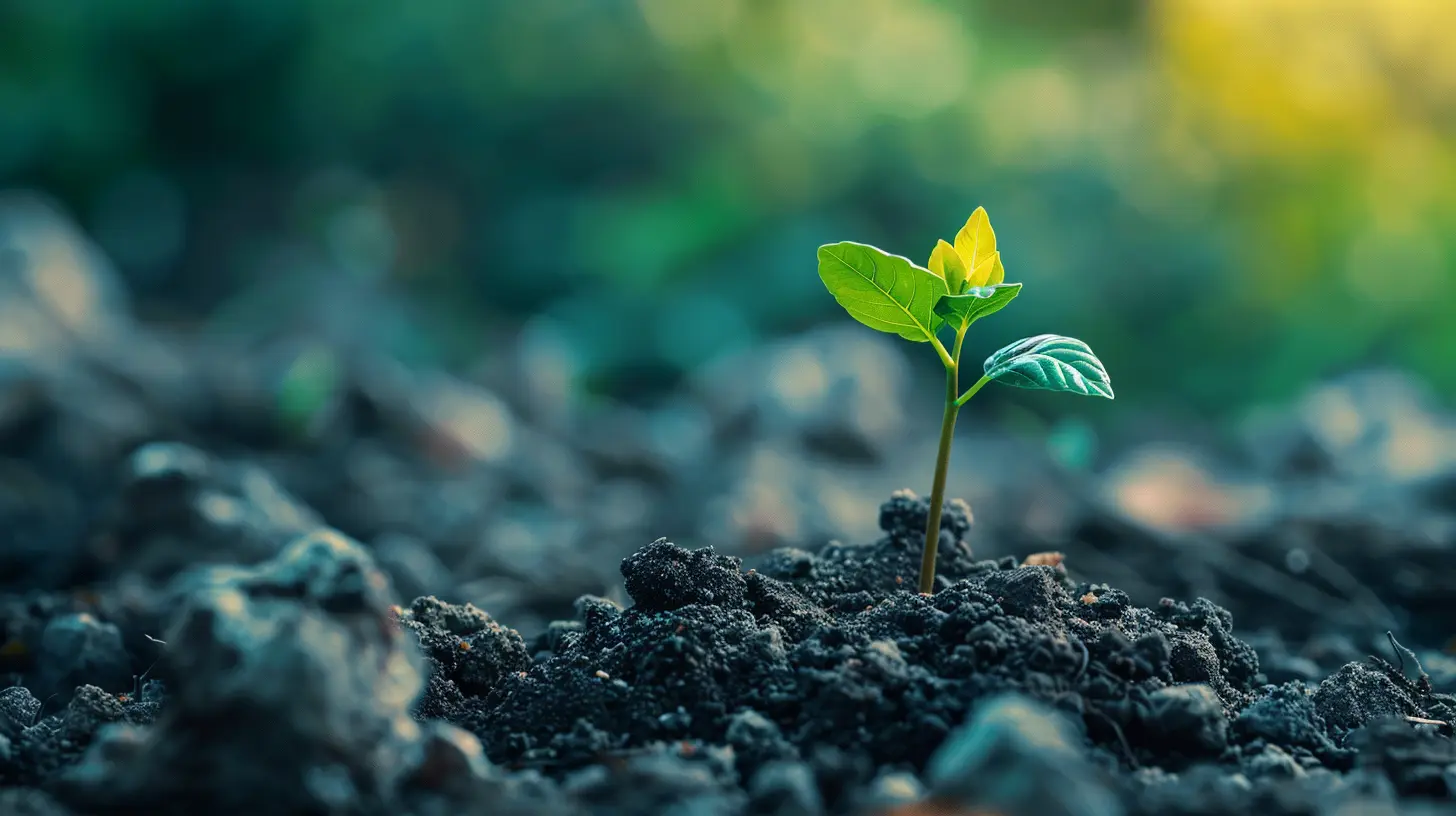 How to Start Building Credit from Scratch