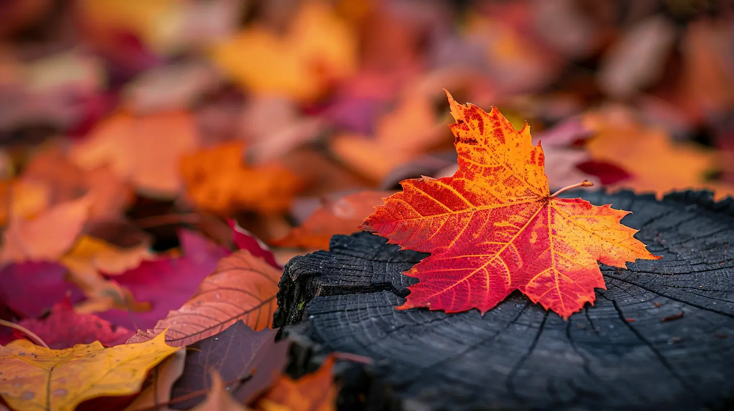 Sector Rotation: How to Adjust Your Portfolio for Seasonal Trends