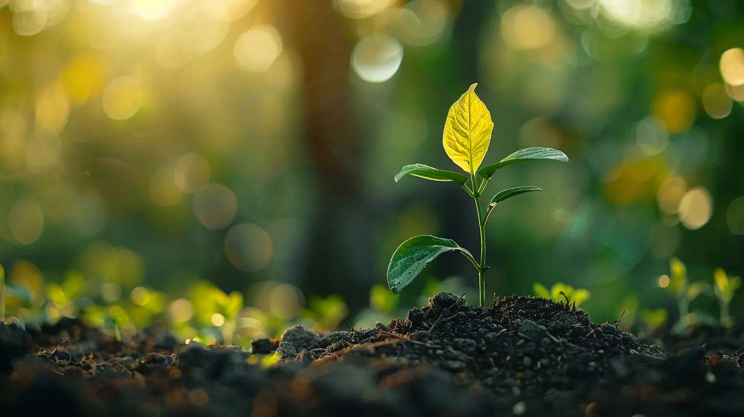 Specialist or Generalist? Finding Your Niche in Speculative Investing