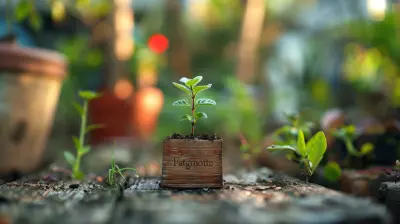 How to Make Financial Decisions Based on Long-Term Outcomes