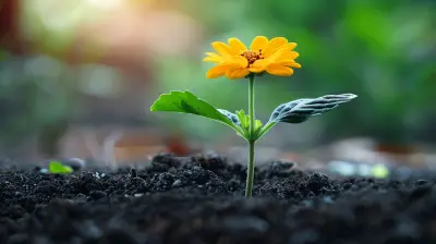 How to Passively Invest in a Roth IRA for Consistent Growth