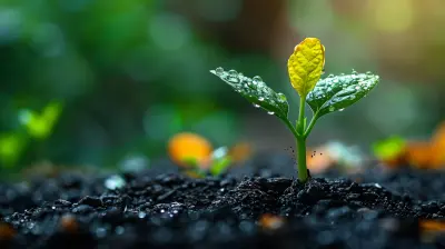 Investing for Beginners: What You Need to Know to Get Started