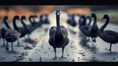 Risks You Didn’t See Coming: Black Swans in Speculative Markets