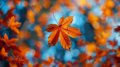 Sector Rotation: How to Adjust Your Portfolio for Seasonal Trends