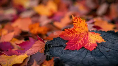 Sector Rotation: How to Adjust Your Portfolio for Seasonal Trends