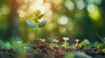 The Role of Credit Cards in Financial Independence