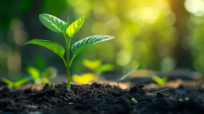 Uncovering the Best Dividend Stocks for Long-Term Investment