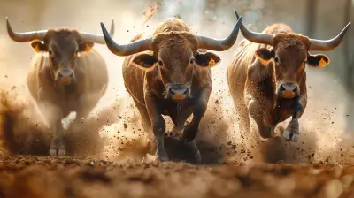 What Moving Averages Tell You About Stock Trends