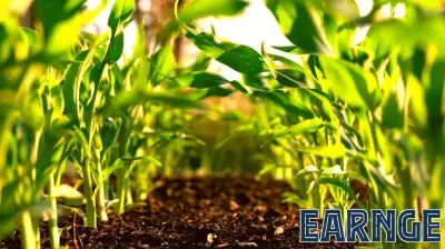 Bridging the Gap in Climate-Smart Agricultural Financing