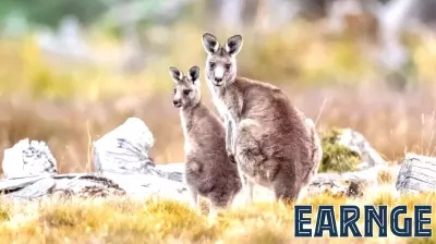 Financing biodiversity: Lisa Miller on investing in nature